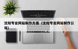图木舒克沈阳专业网站制作方案（沈阳专业网站制作公司）